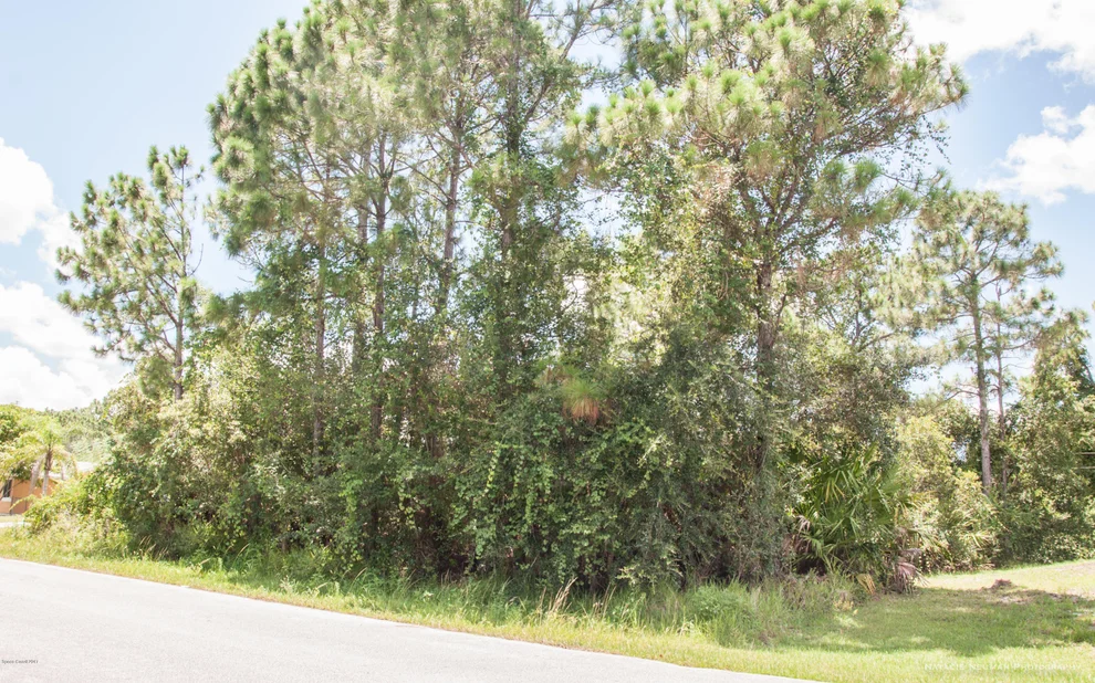 Unit for sale at 300 Trembley Avenue SW, Palm Bay, FL 32908