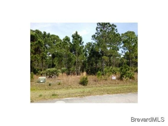 Unit for sale at 4132 Redbay, Grant-Valkaria, FL 32949