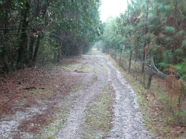 Unit for sale at 780 Panther Path Way, Pierson, FL 32180