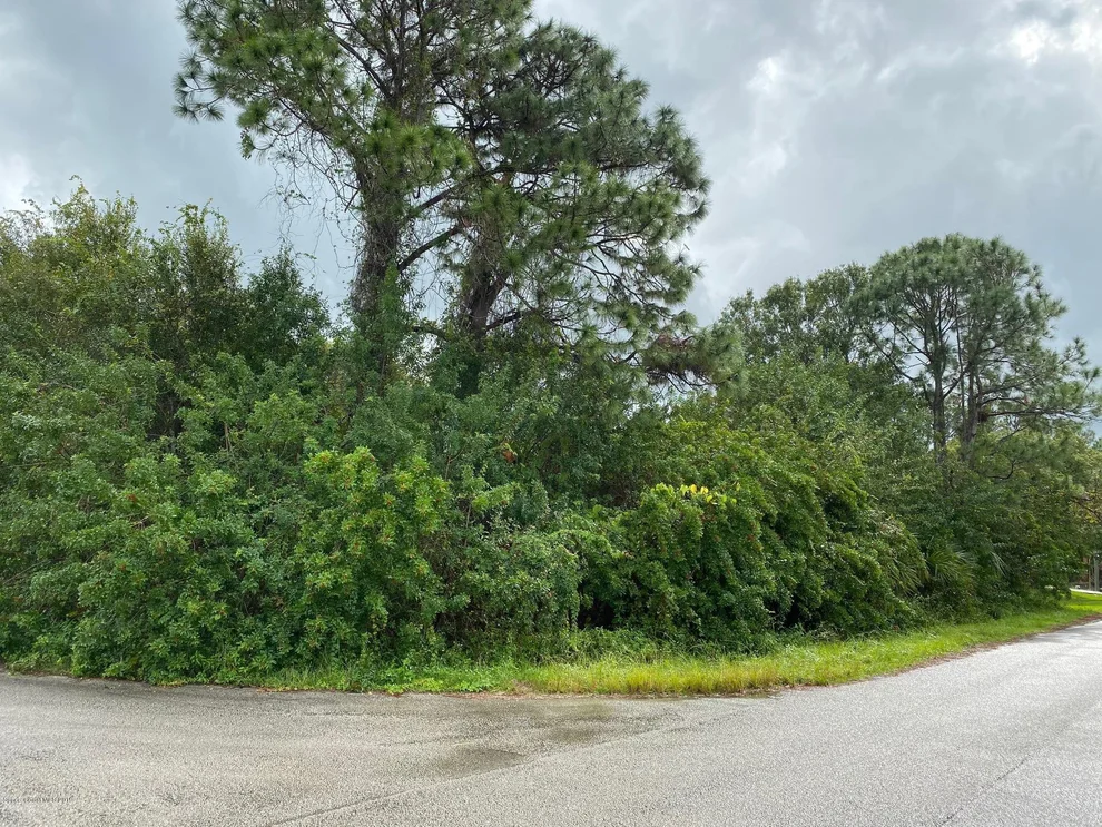 Unit for sale at 1102 Tarkio Street SE, Palm Bay, FL 32909