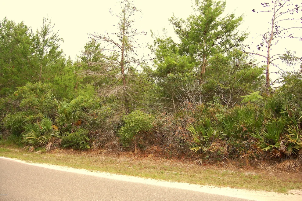 Unit for sale at 0 BLOUNTS RIDGE Road, Mims, FL 32754