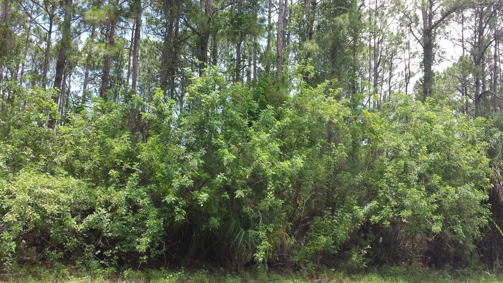 Unit for sale at 1844 Holbrook Road NW, Palm Bay, FL 32907