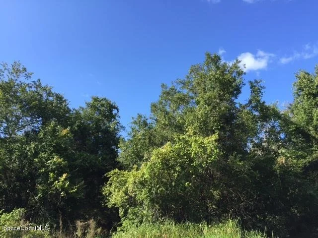 Unit for sale at 0000 Litteral Lane, Grant-Valkaria, FL 32950