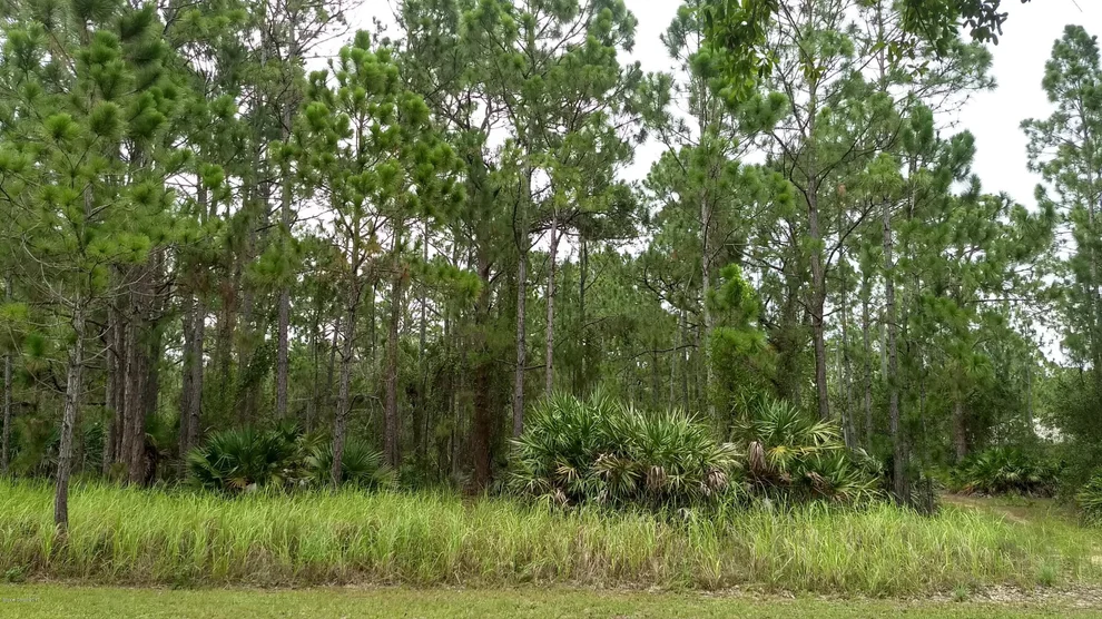 Unit for sale at 221 Falls Church Street SW, Palm Bay, FL 32908