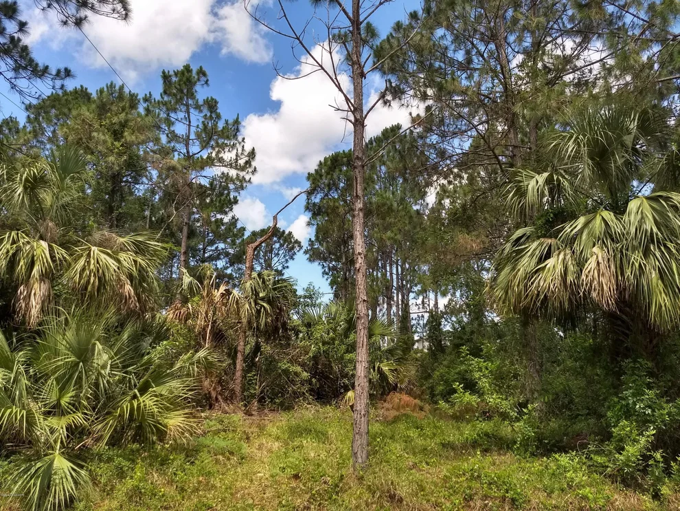 Unit for sale at 340 Kapok Court NW, Palm Bay, FL 32907