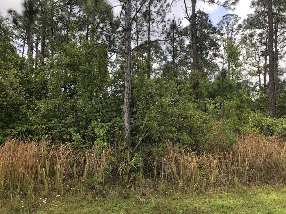 Unit for sale at 3225 Trainfo Avenue SE, Palm Bay, FL 32909
