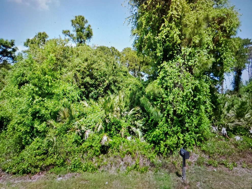 Unit for sale at 1005 Quail Street SE, Palm Bay, FL 32909