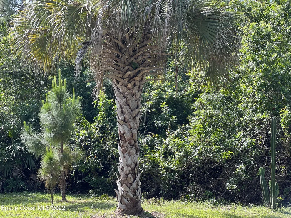 Unit for sale at 440 Halloran Street SE, Palm Bay, FL 32909