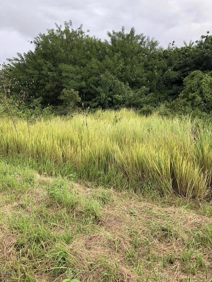 Unit for sale at 2535 Kentucky Drive SW, Palm Bay, FL 32908