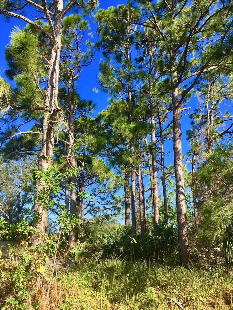 Unit for sale at 459 Delmonico Street NE, Palm Bay, FL 32907