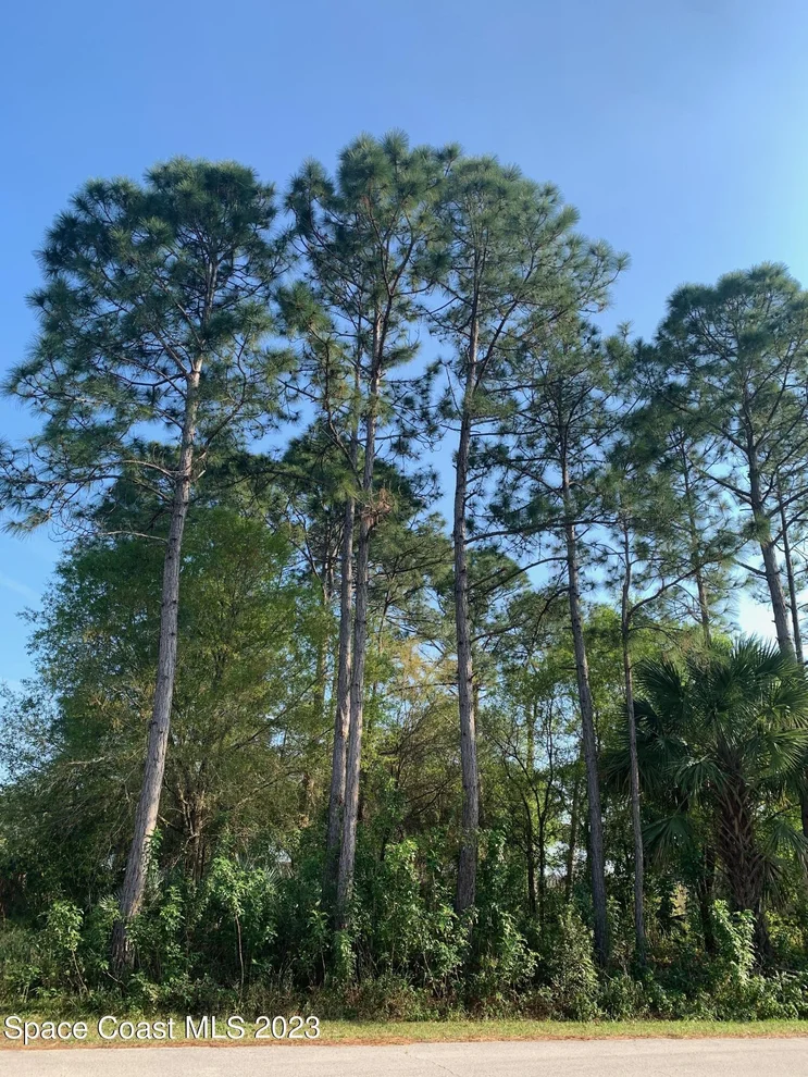 Unit for sale at 842 Reardon Street SE, Palm Bay, FL 32909