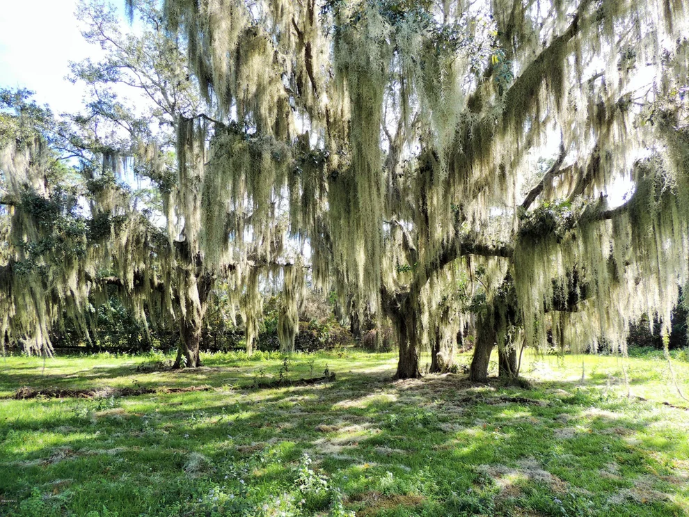 Unit for sale at 0 Turtlemound Rd, Melbourne, FL 32934