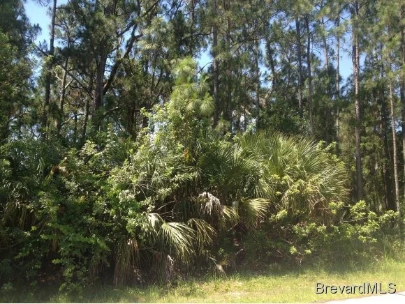 Unit for sale at 1790 NW Viburnum, Palm Bay, FL 32907