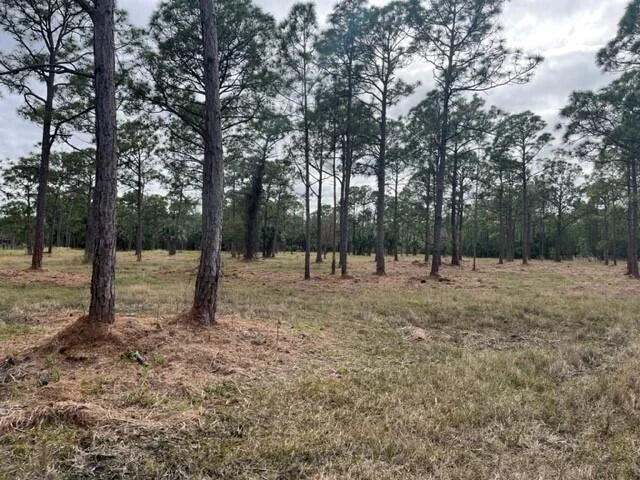 Unit for sale at 0000 Govan Avenue, Malabar, FL 32950